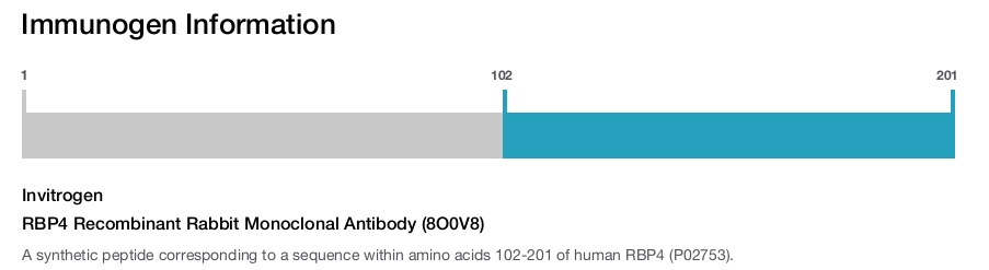 RBP4 Recombinant Rabbit Monoclonal Antibody (8O0V8)