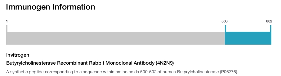 Butyrylcholinesterase Recombinant Rabbit Monoclonal Antibody (4N2N9)