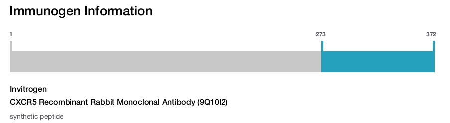 CXCR5 Recombinant Rabbit Monoclonal Antibody (9Q10I2)