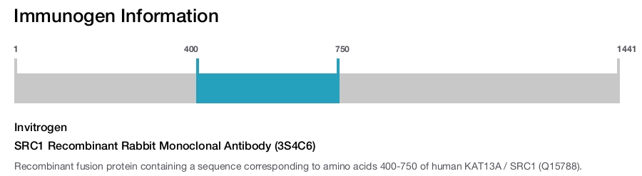 SRC1 Recombinant Rabbit Monoclonal Antibody (3S4C6)