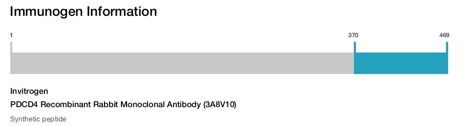 PDCD4 Recombinant Rabbit Monoclonal Antibody (3A8V10)