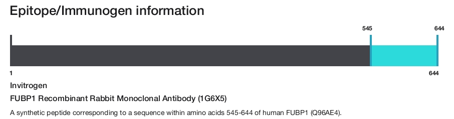 FUBP1 Recombinant Rabbit Monoclonal Antibody (1G6X5)