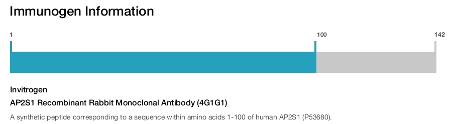 AP2S1 Recombinant Rabbit Monoclonal Antibody (4G1G1)