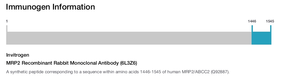 MRP2 Recombinant Rabbit Monoclonal Antibody (6L3Z6)