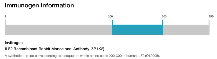 ILF2 Recombinant Rabbit Monoclonal Antibody (5P1K2)