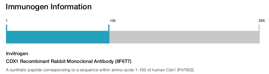 CDX1 Recombinant Rabbit Monoclonal Antibody (8F6T7)