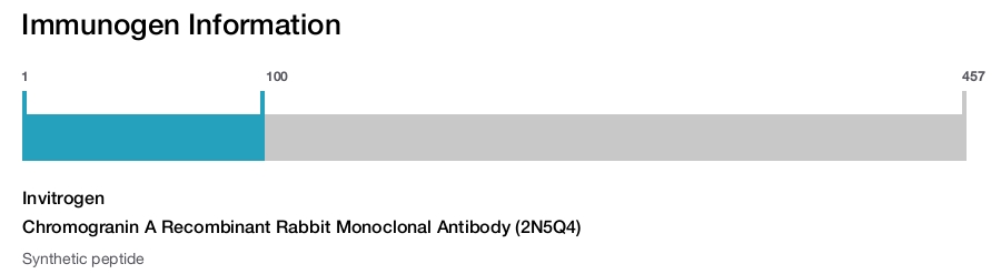 Chromogranin A Recombinant Rabbit Monoclonal Antibody (2N5Q4)