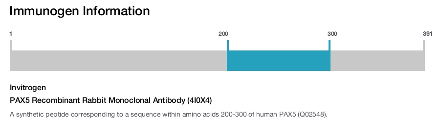 PAX5 Recombinant Rabbit Monoclonal Antibody (4I0X4)