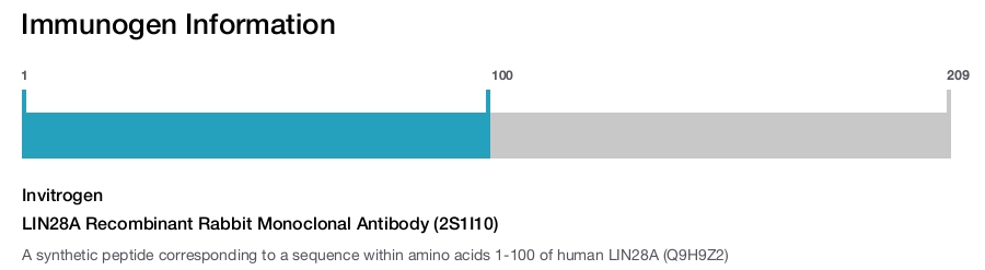 LIN28A Recombinant Rabbit Monoclonal Antibody (2S1I10)