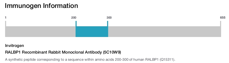 RALBP1 Recombinant Rabbit Monoclonal Antibody (5C10W9)