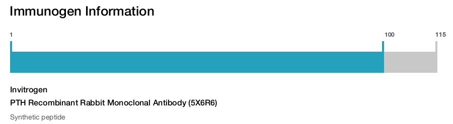PTH Recombinant Rabbit Monoclonal Antibody (5X6R6)
