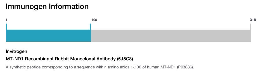 MT-ND1 Recombinant Rabbit Monoclonal Antibody (5J5C8)