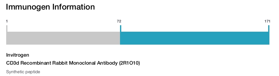 CD3d Recombinant Rabbit Monoclonal Antibody (2R1O10)