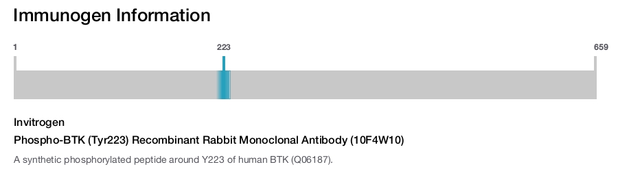 Phospho-BTK (Tyr223) Recombinant Rabbit Monoclonal Antibody (10F4W10)