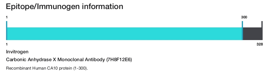 Carbonic Anhydrase X Monoclonal Antibody (7H8F12E6)