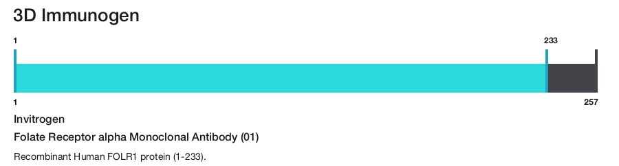Folate Receptor alpha Monoclonal Antibody (01)