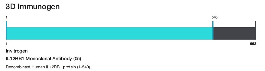IL12RB1 Monoclonal Antibody (05)