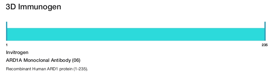 ARD1A Monoclonal Antibody (06)