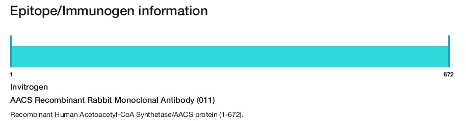 AACS Recombinant Rabbit Monoclonal Antibody (011)