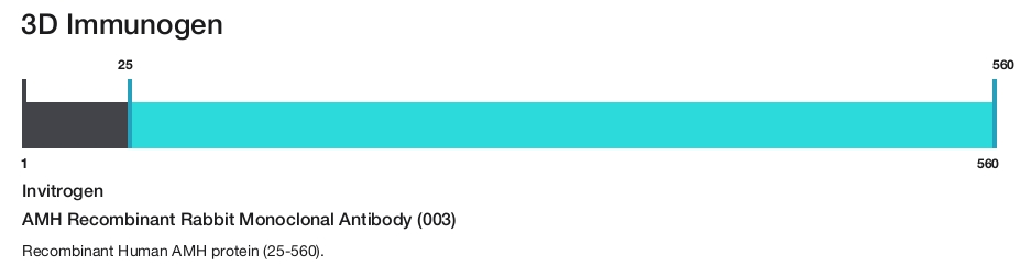 AMH Recombinant Rabbit Monoclonal Antibody (003)
