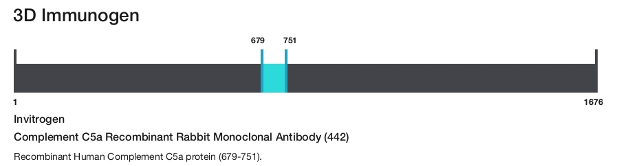 Complement C5a Recombinant Rabbit Monoclonal Antibody (442)