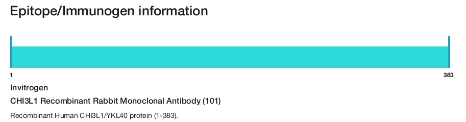 CHI3L1 Recombinant Rabbit Monoclonal Antibody (101)