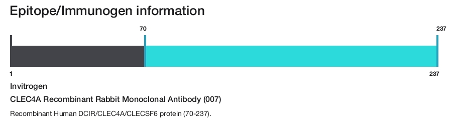 CLEC4A Recombinant Rabbit Monoclonal Antibody (007)