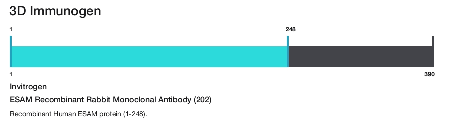 ESAM Recombinant Rabbit Monoclonal Antibody (202)