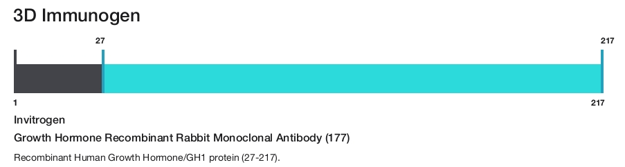 Growth Hormone Recombinant Rabbit Monoclonal Antibody (177)