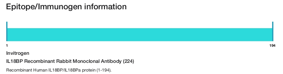 IL18BP Recombinant Rabbit Monoclonal Antibody (224)