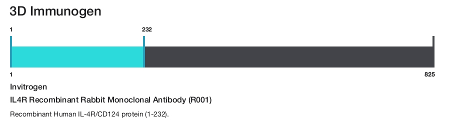 IL4R Recombinant Rabbit Monoclonal Antibody (R001)