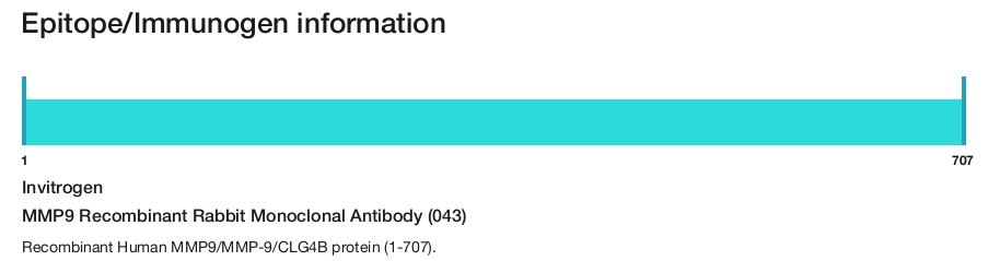 MMP9 Recombinant Rabbit Monoclonal Antibody (043)