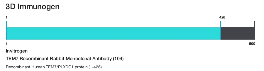 TEM7 Recombinant Rabbit Monoclonal Antibody (104)