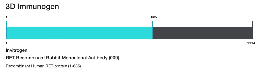 RET Recombinant Rabbit Monoclonal Antibody (009)