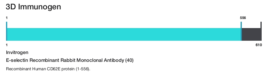 E-selectin Recombinant Rabbit Monoclonal Antibody (40)
