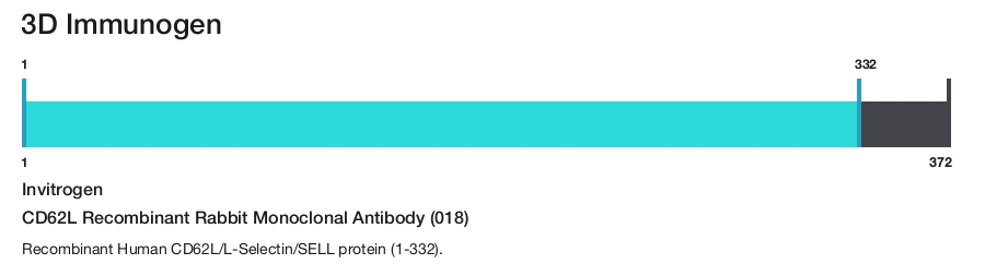 CD62L Recombinant Rabbit Monoclonal Antibody (018)