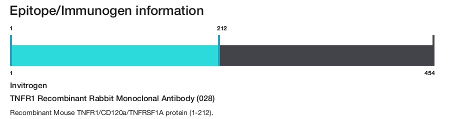 TNFR1 Recombinant Rabbit Monoclonal Antibody (028)