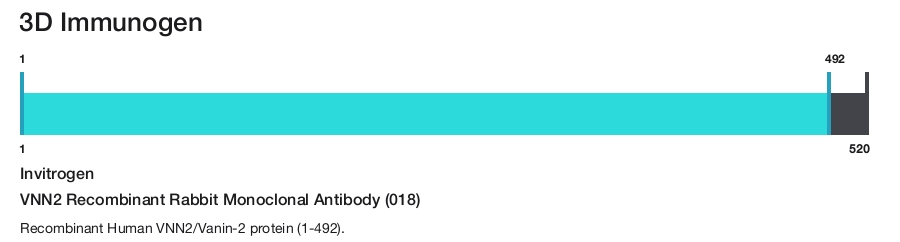 VNN2 Recombinant Rabbit Monoclonal Antibody (018)