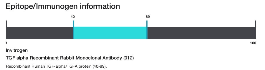 TGF alpha Recombinant Rabbit Monoclonal Antibody (012)