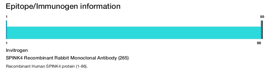 SPINK4 Recombinant Rabbit Monoclonal Antibody (265)