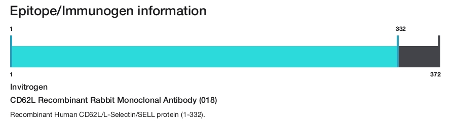 CD62L Recombinant Rabbit Monoclonal Antibody (018)