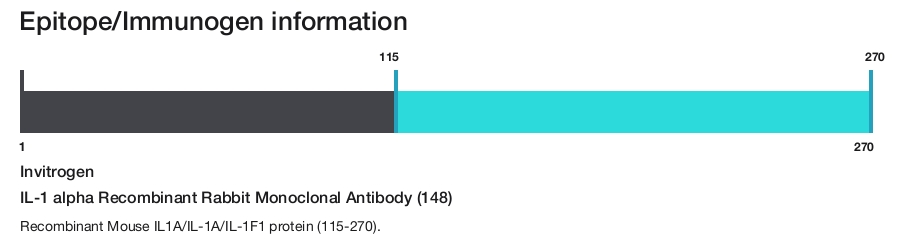 IL-1 alpha Recombinant Rabbit Monoclonal Antibody (148)