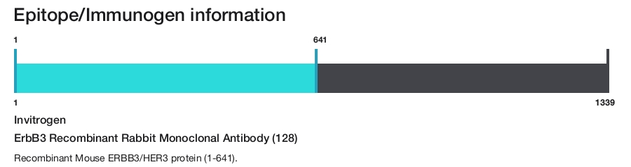 ErbB3 Recombinant Rabbit Monoclonal Antibody (128)
