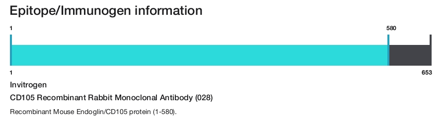 CD105 Recombinant Rabbit Monoclonal Antibody (028)