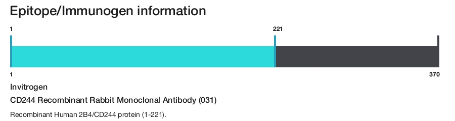 CD244 Recombinant Rabbit Monoclonal Antibody (031)