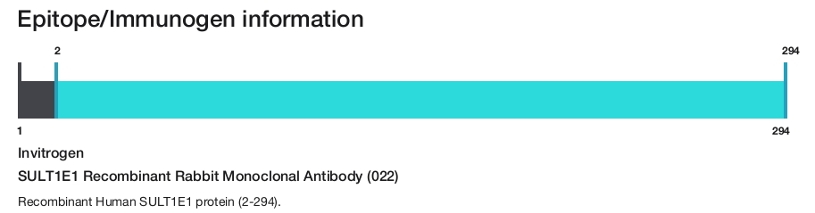 SULT1E1 Recombinant Rabbit Monoclonal Antibody (022)