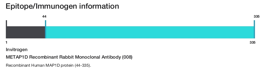 METAP1D Recombinant Rabbit Monoclonal Antibody (008)