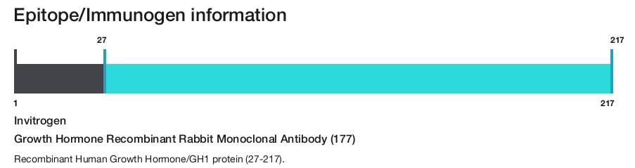 Growth Hormone Recombinant Rabbit Monoclonal Antibody (177)