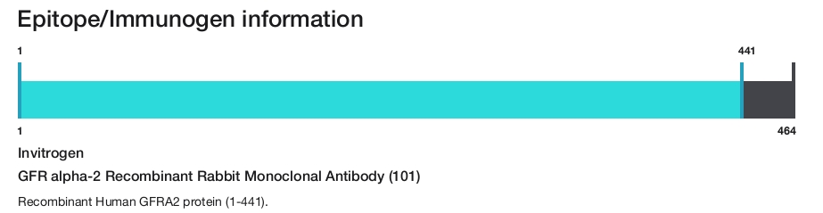 GFR alpha-2 Recombinant Rabbit Monoclonal Antibody (101)