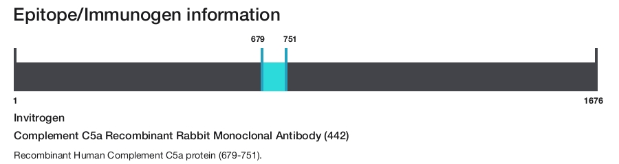 Complement C5a Recombinant Rabbit Monoclonal Antibody (442)